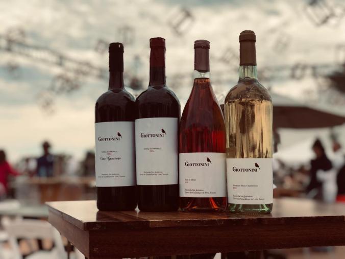 linea vinos Giottonini.jpeg